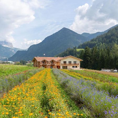 Eco-Green Fiores Agriturismo Vigo di Fassa Zewnętrze zdjęcie