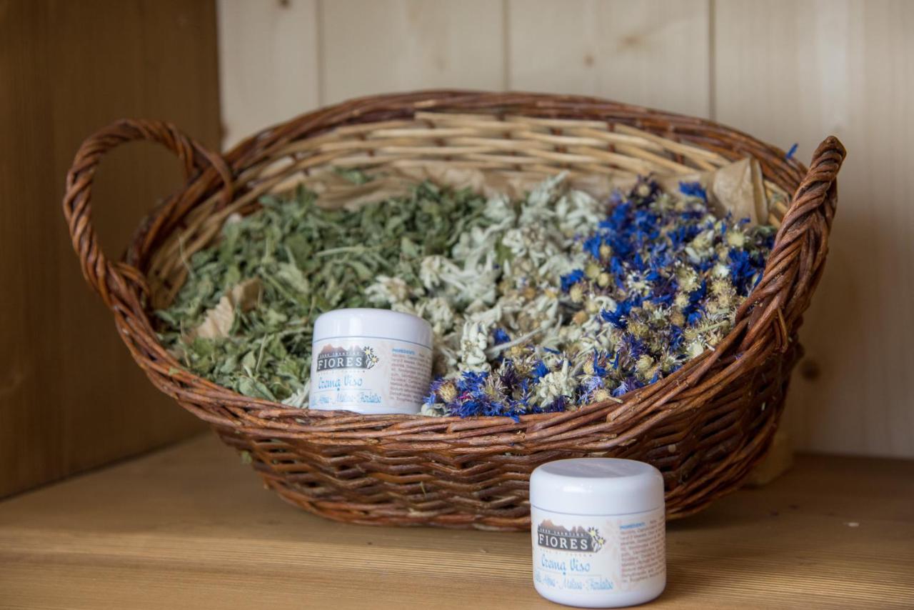 Eco-Green Fiores Agriturismo Vigo di Fassa Zewnętrze zdjęcie